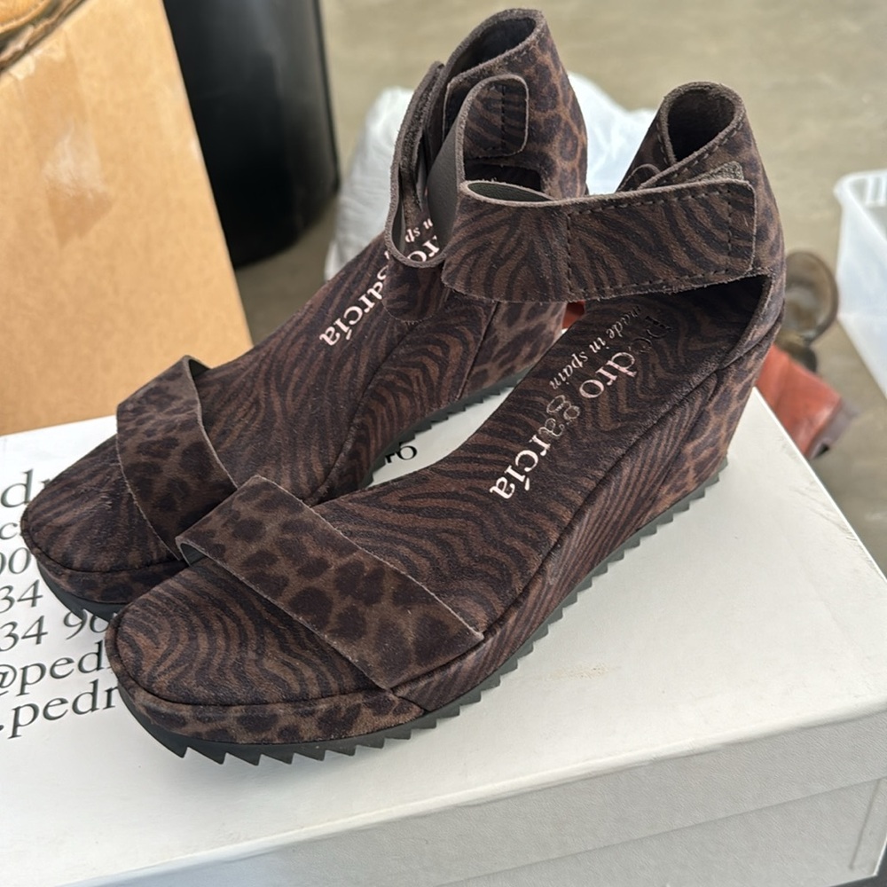 Pedro Garcia Fidelia